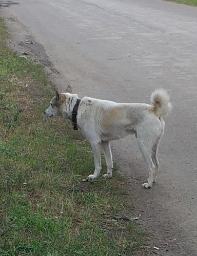 20190903_224758.jpg