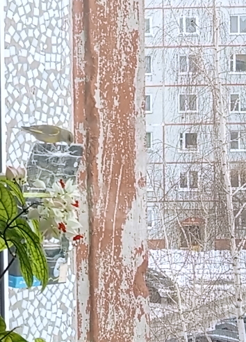 зелёный.jpg