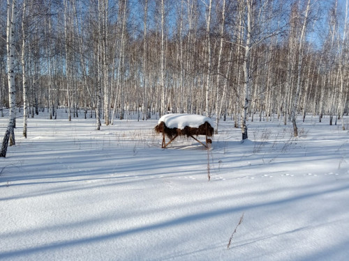 кормушка 2.jpg