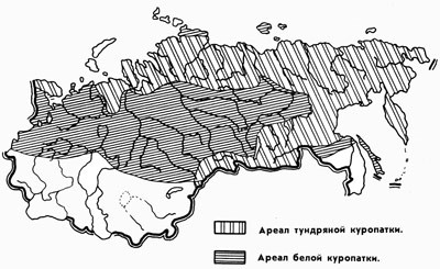 1283885385_0003.jpg