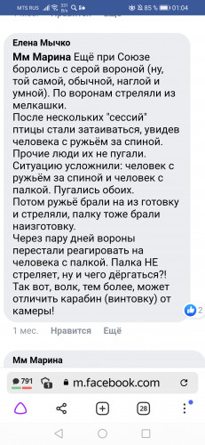 Screenshot_20220109_010439_com.yandex.browser.jpg