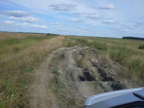 SDC10793.jpg