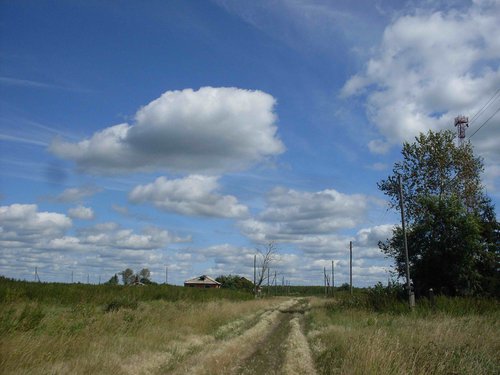 SDC10774.jpg