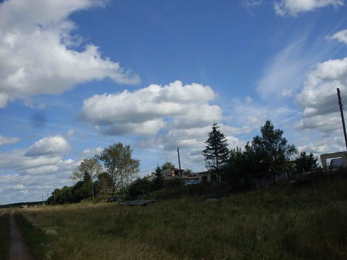 SDC10784.jpg