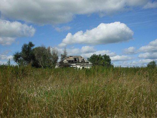 SDC10788.jpg