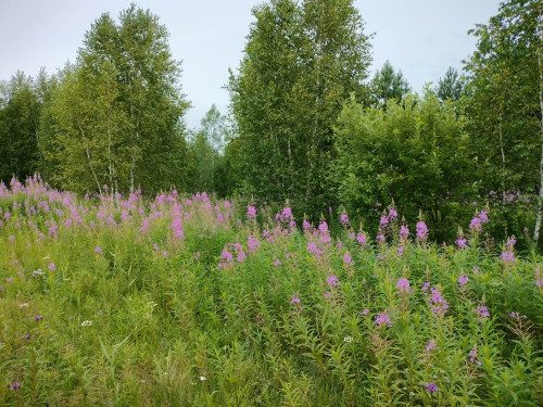 IMG20230722135221_isAjNHPa43.jpeg
