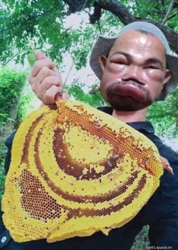 пчеловод.jpg