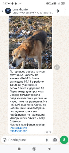Screenshot_2024-11-11-07-37-43-878_com.whatsapp.jpg