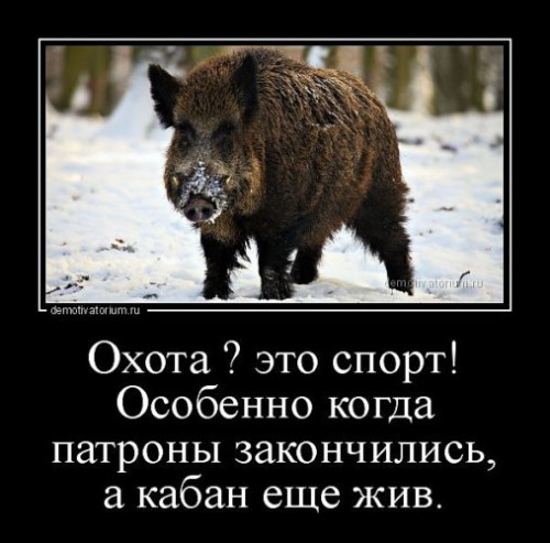 охота.jpg