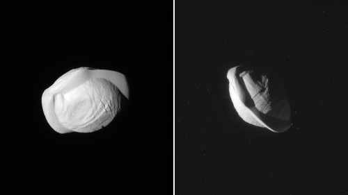 scale_2400 (1).jpg