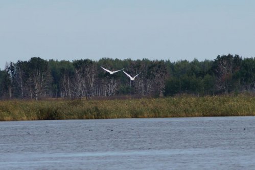 Копия DSC00216.JPG