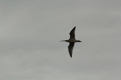 IMG_6244.jpg