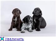 81b0d915352et.jpg