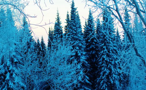 IMG_6903 - копия (640x397).jpg