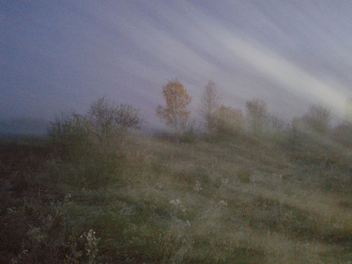 20121013_080836.jpg