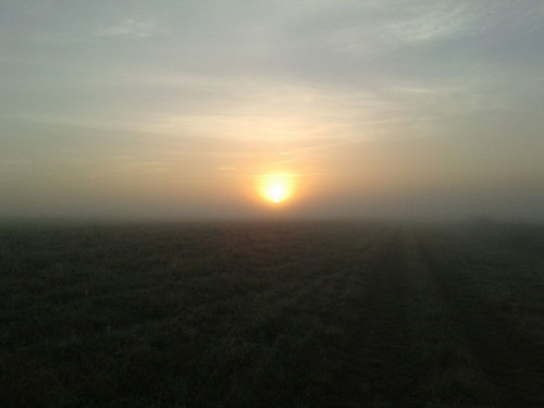 20121013_085721.jpg