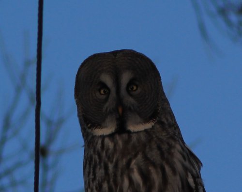 IMG_7598.JPG