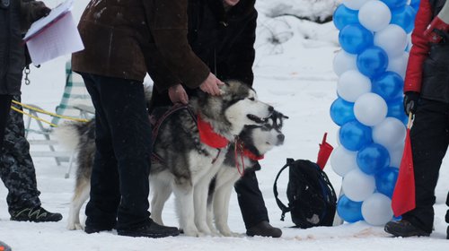 DSC08805.JPG