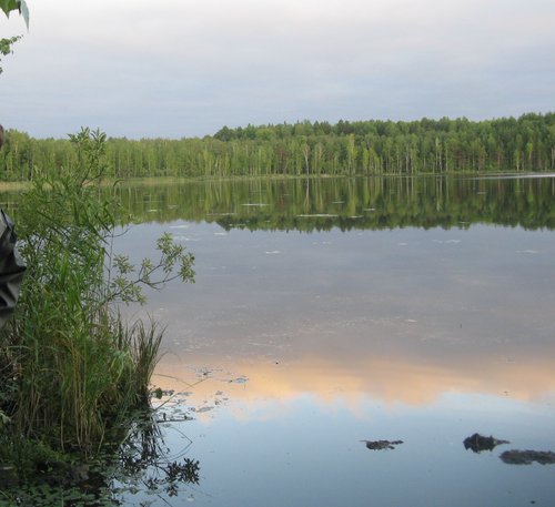 июль 2010г. август 15-25 835.jpg