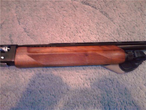 бекас 4.jpg