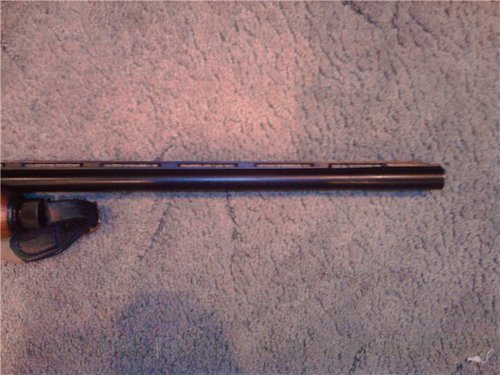 бекас 5.jpg