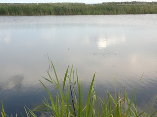 19082013012.jpg