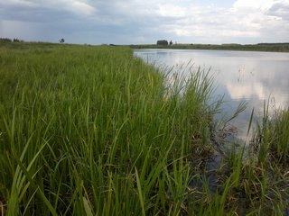 19082013013.jpg