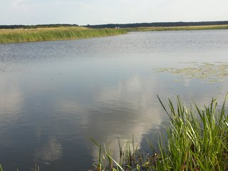 19082013015.jpg