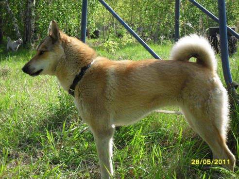 SDC10944.JPG