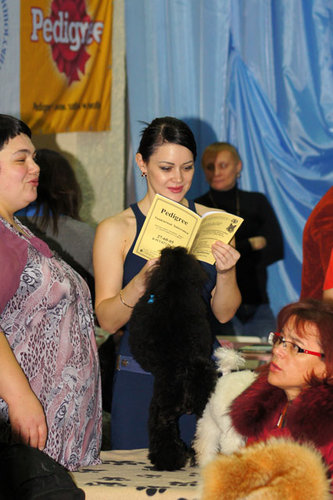DSC09427.JPG