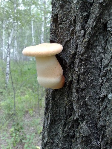 110820131844.jpg