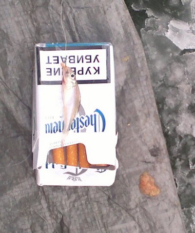 07122013401.jpg