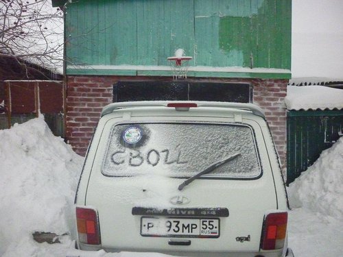 P1040674- нива.JPG