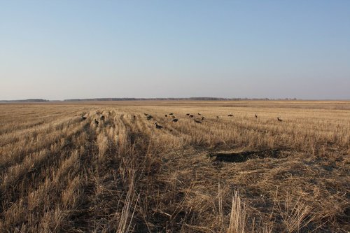 IMG_11112891.jpg
