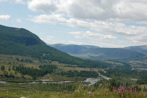 DSC_0516.JPG