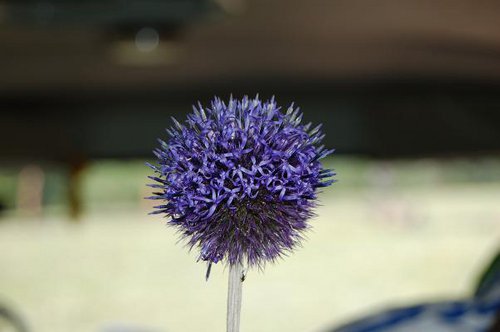 DSC_0574.JPG