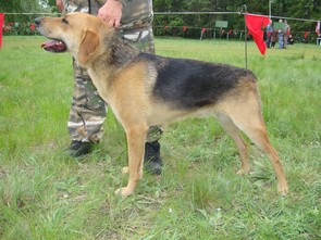 мл м 4 Фарт Пономарев НН.JPG