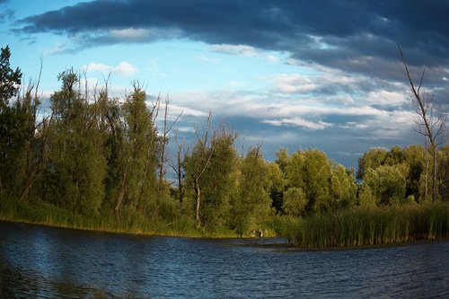 IMG_0669.jpg