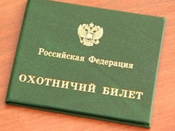133661_l.jpg
